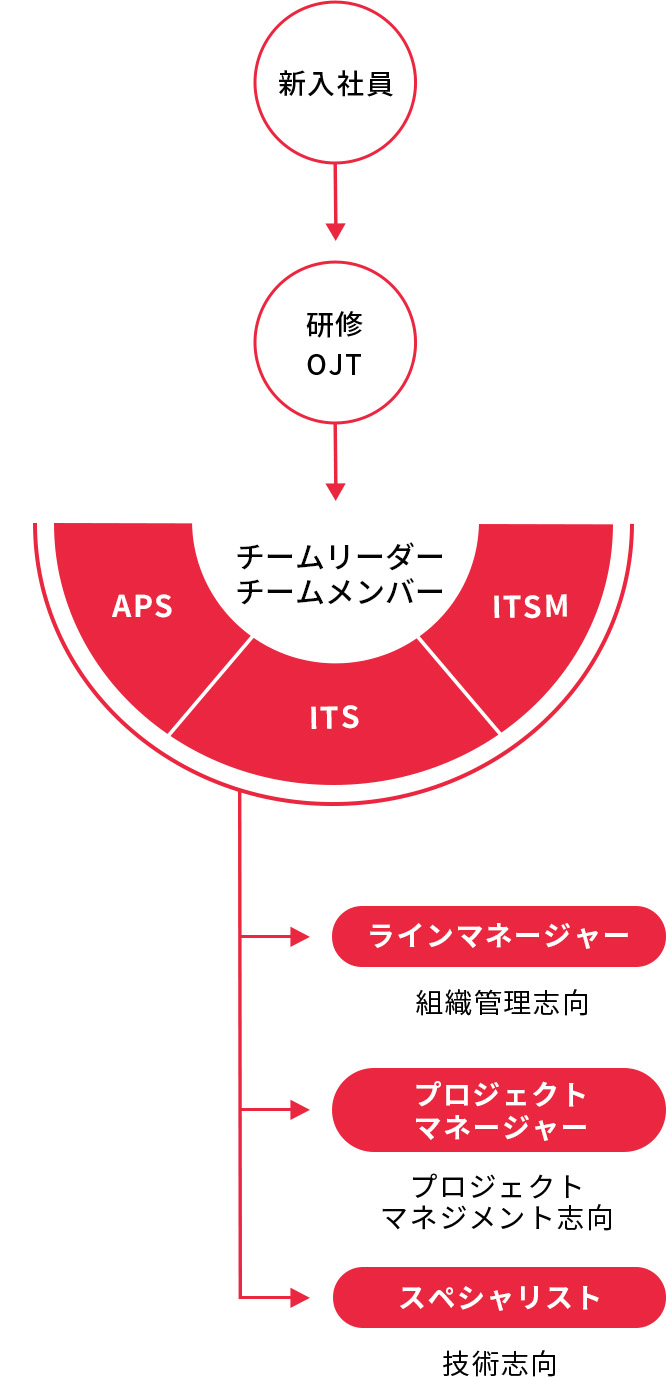 キャリアパス